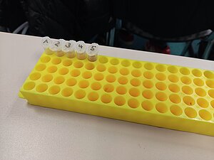 Workshop "Wer gärt denn da?“ - Einblicke in die Welt der Weinmikroorganismen u.a. mit einem Smartphone-Mikroskop, Prof. Dr. Maren Scharfenberger-Schmeer von der Hochschule Kaiserslautern Workshop "Wer gärt denn da?“ - Einblicke in die Welt der Weinmikroorganismen u.a. mit einem Smartphone-Mikroskop, Prof. Dr. Maren Scharfenberger-Schmeer von der Hochschule Kaiserslautern