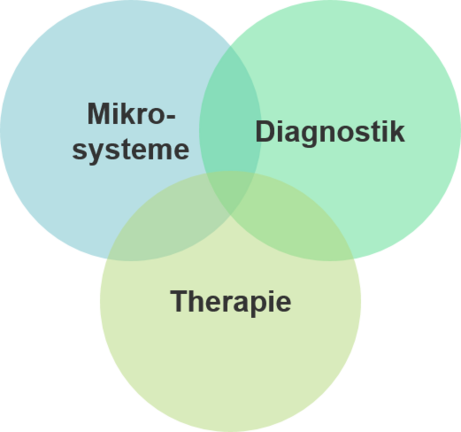 Der Fokus des Studiengangs "Biomedical Micro Engineering" liegt auf der Entwicklung von Mikrosystemen für Anwendungen in Diagnostik und Therapie (Grafik: Tarasov)