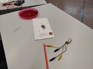 Workshop Solarzelle selber bauen – Grätzelzelle, Ada-Lovelace-Projekt RPTU Workshop Solarzelle selber bauen – Grätzelzelle, Ada-Lovelace-Projekt RPTU