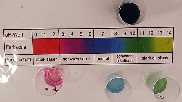 PH-Wertbestimmung PH-Wertbestimmung mit dem Rotkohl-Indikator - kleine Gläschen mit bunten Flüssigkeiten